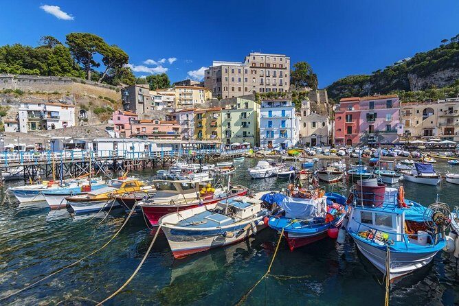 Day trip from Naples: Pompeii & Sorrento - private tour - Who Should Consider This Tour?