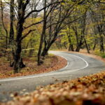 Day trip in Kakheti-Beauty and Love in a Glass Wine - Who Should Consider This Tour?