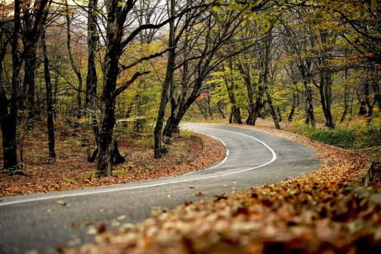 Day trip in Kakheti-Beauty and Love in a Glass Wine - Who Should Consider This Tour?
