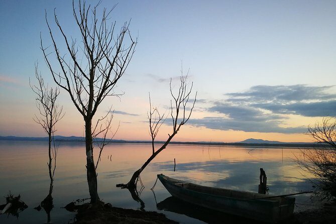 Day Trip: Speedboat Tour Of Lake Trasimeno With Lunch + Assisi Private Tour - Who Will Love This Tour?