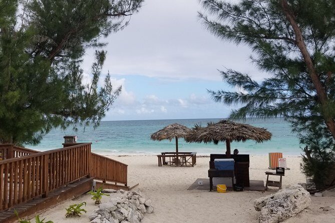 Day Trip To Freeport, Grand Bahama - Tickets only - Final Thoughts: Who Will Love This Experience?