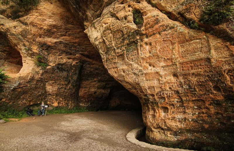 Day Trip To Gauja National Park: Animals, and Castles - The Experience: Practical Details and Value