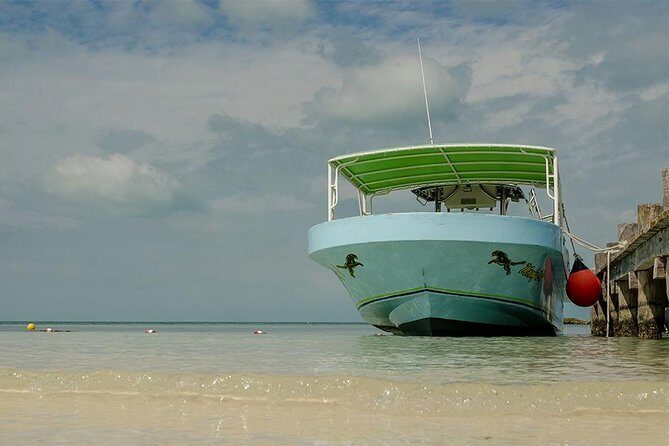 Day Trip to Isla Contoy - Final Thoughts