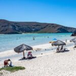 Day Trip to La Paz & Balandra Beach from Cabo San Lucas - Authentic Insights from Reviewers