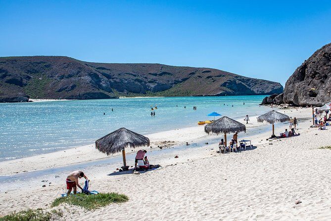 Day Trip to La Paz & Balandra Beach from Cabo San Lucas - Authentic Insights from Reviewers