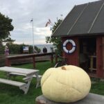 Day Trip to Land of Bays, the Romantic North-Coast from Tallinn - What Travelers Say