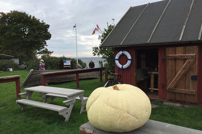 Day Trip to Land of Bays, the Romantic North-Coast from Tallinn - What Travelers Say
