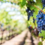 Day trip to Moldova - visit Chisinau and Cricova Winery - A Complete Breakdown of the Experience