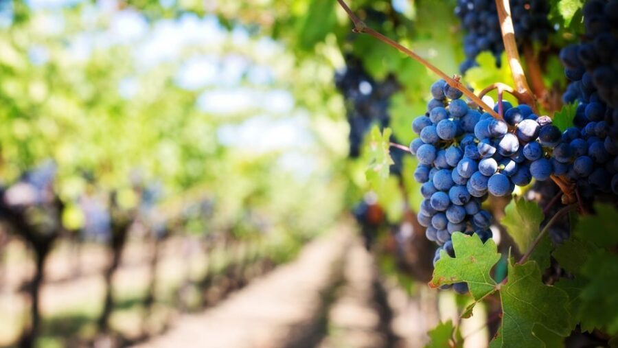 Day trip to Moldova - visit Chisinau and Cricova Winery