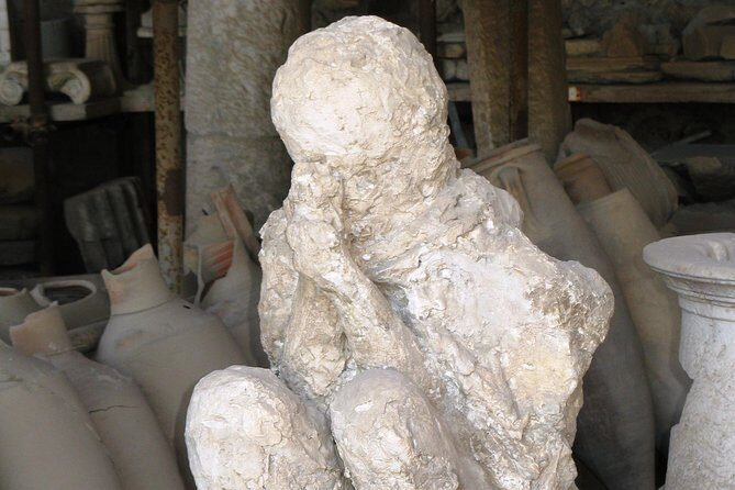 Day Trip to Mount Vesuvius & Pompeii Ruins from Rome - Private Tour - Who Will Benefit Most?