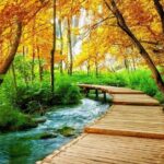Day Trip to Plitvice lakes From Split - A Closer Look at the Plitvice Lakes Day Trip