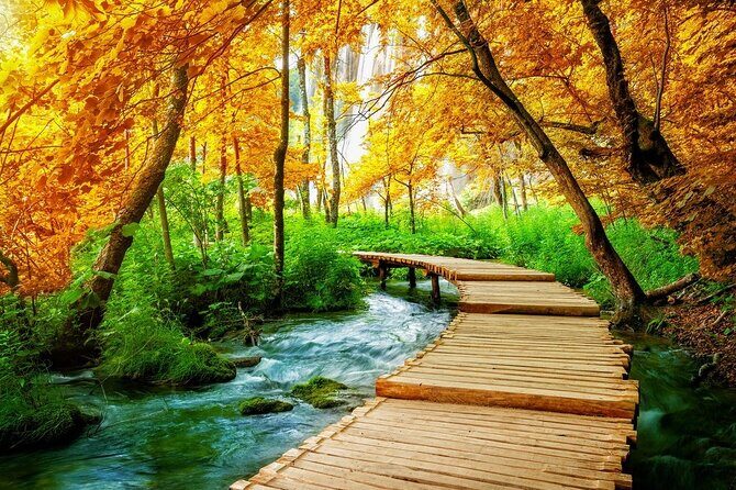 Day Trip to Plitvice lakes From Split - A Closer Look at the Plitvice Lakes Day Trip