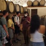 Day Trip to Santorini From Athens - What Makes This Tour Stand Out?