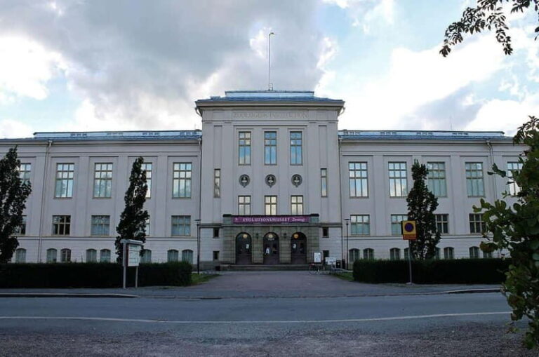 Day Trip to Uppsala - Break Time and Local Flavors
