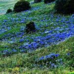 Day Trip to Vani from Kutaisi - Exploring the Details: What You Can Expect