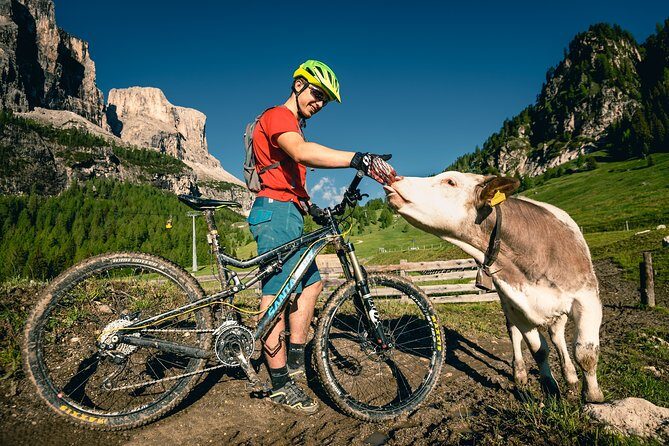 Day with Private Bicycle Guide in Cortina d'Ampezzo - Why This Tour Offers Great Value