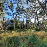 Daylesford Goldfields Track Walking and Wellness Experience - The Itinerary: A Day-by-Day Breakdown