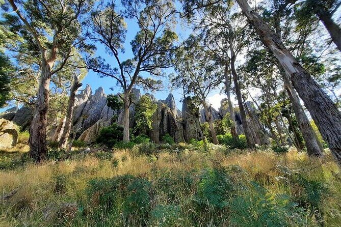 Daylesford Goldfields Track Walking and Wellness Experience - The Itinerary: A Day-by-Day Breakdown