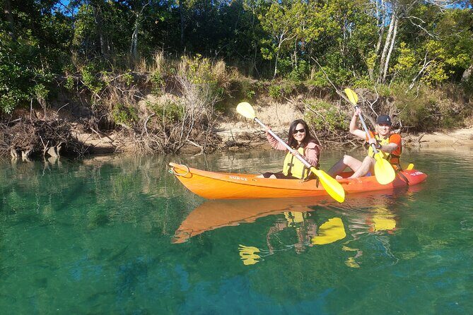Daytime Kayak Eco Tour of New South Wales - Final Thoughts: Who Should Consider This Tour?
