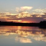 Daytona/New Smyrna Beach: Unforgettable Kayak Wildlife tours - Authentic Encounters and Real Reviews