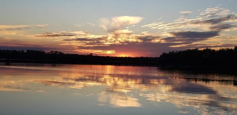 Daytona/New Smyrna Beach: Unforgettable Kayak Wildlife tours - Authentic Encounters and Real Reviews