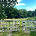 Daytrip Bike Tour on the Swedish Countryside Private - Who Will Love This Tour?
