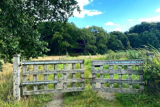Daytrip Bike Tour on the Swedish Countryside Private - Who Will Love This Tour?