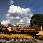 DC: Hop-on Hop-off, Arlington Walking Tour, and Night Tour - Why This Tour Package Works