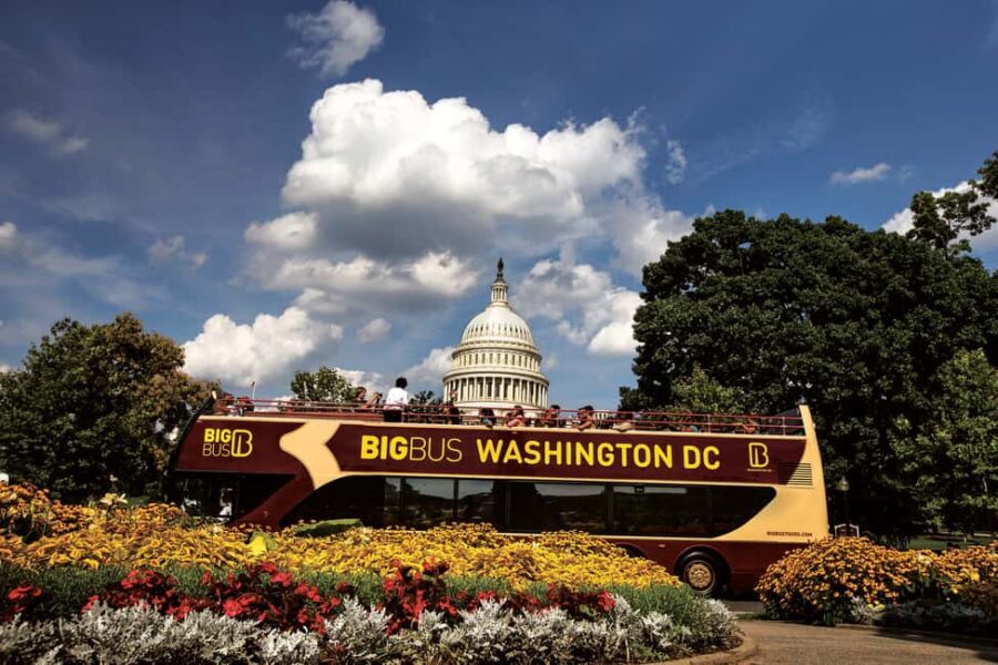 DC: Hop-on Hop-off, Arlington Walking Tour, and Night Tour - Why This Tour Package Works