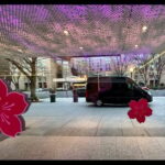 DC:Small Group Sunset Tour . - Who Should Consider This Tour?