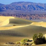 Death Valley Day Trip from Las Vegas - The Complete Experience: What to Expect from Your Death Valley Day Trip