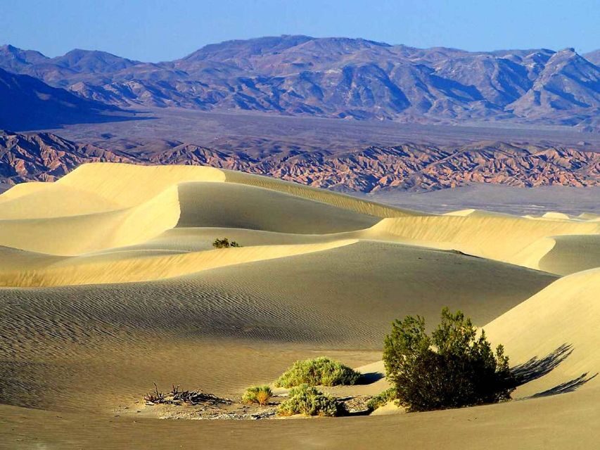 Death Valley: Full-Day Tour from Las Vegas - An In-Depth Look at the Death Valley Tour