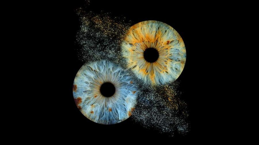 Deauville: Reveal the beauty of your iris with Iris Galerie - The Value of Your Iris Experience