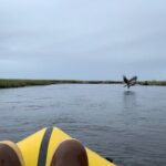 Deep Creek 1/2 Day Packraft Tour - What Travelers Say and Why It Matters