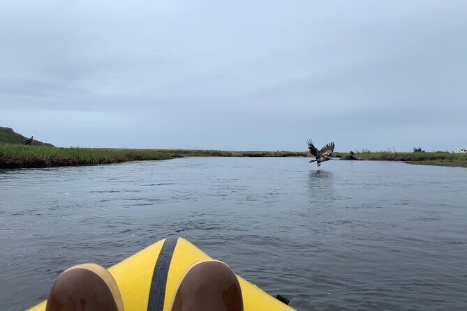 Deep Creek 1/2 Day Packraft Tour - What Travelers Say and Why It Matters