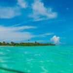 Deep into Nature at Sian Ka'an Biosphere! Round Transportation From Riviera Maya - What You Can Expect from the Experience