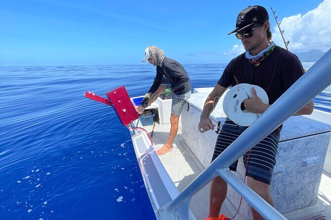 DEEP SEA FISHING 1/2 day (private group) - Who Would Love This Tour?