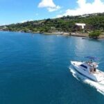 Deep sea fishing - Detailed Review of the Tahiti Deep Sea Fishing Tour