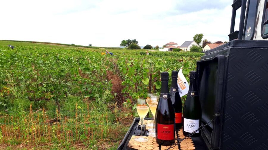 Dégustation de champagne balade panoramique dans les vignes - Who Will Love It?