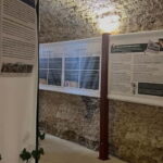 Dégustation de vins au Caveau Délicave - An In-Depth Look at the Caveau Délicave Tasting Experience
