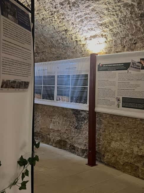 Dégustation de vins au Caveau Délicave - An In-Depth Look at the Caveau Délicave Tasting Experience