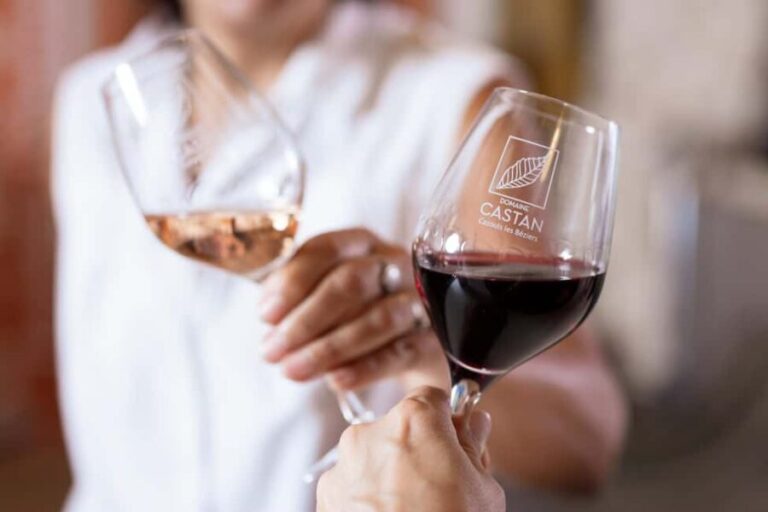 Dégustation Terroir : Journey to the heart of Domaine Castan's flavours - The Itinerary Breakdown