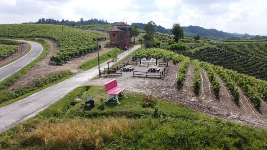 Degustazione di vini del Monferrato con visita della cantina - A Detailed Look at the Monferrato Wine & Food Experience