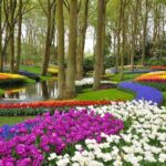 Delft and Keukenhof Gardens Tour from Brussels - FAQs