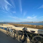 Delivery bike for 6hours Castello/Molentargius/Poetto/Quartu - A Deep Dive into the Sardinian Bike Experience