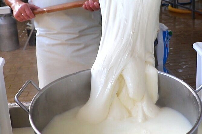 Deluxe Experience: Mozzarella, Oil and Wine Tasting on the Amalfi Coast - FAQs
