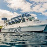 Deluxe Snorkel & Dolphin Watch Aboard a Luxury Catamaran from Kailua-Kona - Final Thoughts: Why Choose This Tour?