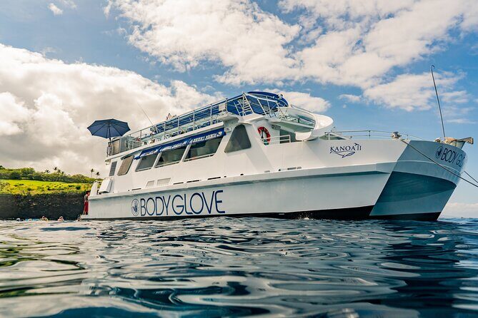 Deluxe Snorkel & Dolphin Watch Aboard a Luxury Catamaran from Kailua-Kona - Final Thoughts: Why Choose This Tour?