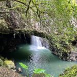 Deluxe Tamborine & Springbrook Day Tour with Skywalk & Glow Worms - Why This Tour Works for Travelers