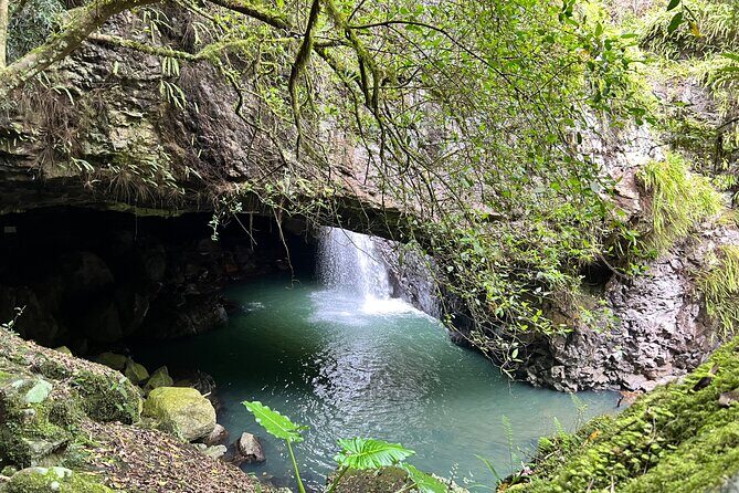 Deluxe Tamborine & Springbrook Day Tour with Skywalk & Glow Worms - Why This Tour Works for Travelers